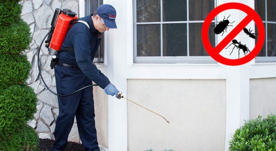 Hacılar Gümüşkurt İlaçlama böcek ilaçlama ve haşere kontrolü — ilaclama-tr.com